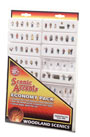 A2063 Economy Pack - Assorted Figure Set (N scale) Scenic Accents<sup>®</sup> Economy Packs (Click for larger picture)