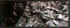 C1219 Slate Gray 4 oz.vol. Earth Colors Liquid Pigment (Click for larger picture)