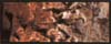 C1222 Burnt Umber  4 oz.Vol. Earth Colors Liquid Pigment (Click for larger picture)