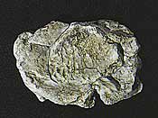 Wind Rock (5x7 Mold)