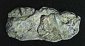 Washed Rock (10.5x5 Mold)