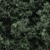 F1130 Fine-Leaf Foliage™ - Dark Green Fine-Leaf Foliage (Click for larger picture)