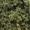 F1132 Fine-Leaf Foliage™ - Light Green Fine-Leaf Foliage (Click for larger picture)