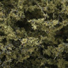 F1133 Fine-Leaf Foliage™ - Olive Green Fine-Leaf Foliage (Click for larger picture)