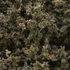 F1134 Fine-Leaf Foliage™ - Dead Foliage Fine-Leaf Foliage (Click for larger picture)