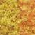 F55 Foliage - Early Fall Mix (60 sq. in. bag) Foliage (Click for larger picture)
