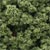 FC135 Underbrush - Light Green (18 cu. in. bag) Underbrush (Click for larger picture)