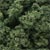 FC136 Underbrush - Medium Green (18 cu. in. bag) Underbrush (Click for larger picture)