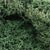 L162 Lichen - Light Green (1 1/2 qt./82 cu. in. ) Lichen (Click for larger picture)