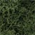 L163 Lichen - Medium Green (1 1/2 qt./82 cu. in. ) Lichen (Click for larger picture)