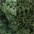 L167 Lichen - Light Green Mix (3 qt./165 cu. in. ) Lichen (Click for larger picture)