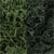 L168 Lichen - Dark Green Mix (3 qt./165 cu. in. ) Lichen (Click for larger picture)