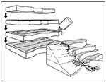 2" Foam Sheet
