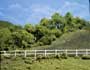 TK24 Hedge Row Scene 24"- 30" long Large Tree Kits (Click for larger picture)