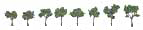 TR1501 Medium Green 3/4"- 1 1/4"(8 pkg) Ready Made Realistic Trees (HO Scale) (Click for larger picture)