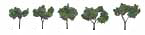 TR1502 Medium Green 1 1/4"- 2"(5 pkg) Ready Made Realistic Trees (HO Scale) (Click for larger picture)