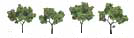 TR1503 Light Green 2"- 3"(4 pkg) Ready Made Realistic Trees (N Scale) (Click for larger picture)
