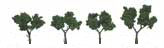 TR1504 Medium Green 2"- 3"(4 pkg) Ready Made Realistic Trees (HO Scale) (Click for larger picture)