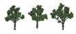 TR1507 Medium Green 3"- 4"(3 pkg) Ready Made Realistic Trees (HO Scale) (Click for larger picture)