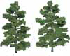 TR1519 Medium Green 8"- 9"(2 pkg) Ready Made Realistic Trees (HO Scale) (Click for larger picture)