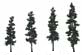 TR1561 Conifer Green 4"- 6"(4 pkg) Ready Made Realistic Trees (HO Scale) (Click for larger picture)