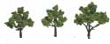 TR1506 Light Green 3"- 4"(3 pkg) Ready Made Realistic Trees (N Scale) (Click for larger picture)