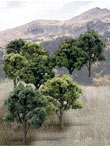 TR1572 Mixed Green Deciduous 3"- 5"(14 pkg) Ready Made Trees Value Pack (Click for larger picture)