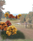 TR1576 Fall Colors Deciduous 2"- 3"(23 pkg) Ready Made Trees Value Pack (Click for larger picture)