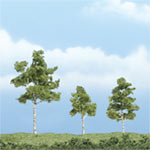TR1605 Paper Birch - 2 3/4", 1 1/2" & 2 1/4" Premium Trees (Click for larger picture)