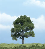 TR1606 Oak - 3" Premium Trees (Click for larger picture)