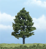 TR1608 Sweetgum - 4" Premium Trees (Click for larger picture)
