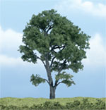 TR1610 Maple - 4 1/2" Premium Trees (Click for larger picture)