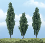 TR1611 Poplar - 4 1/2", 3 1/2" & 4" Premium Trees (Click for larger picture)