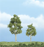 TR1612 Aspen - 2 3/4" & 2 1/4" Premium Trees (Click for larger picture)