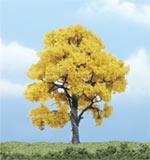 TR1613 Fall Beech - 4" Premium Trees (Click for larger picture)