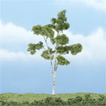 TR1616 Paper Birch - 4 1/8" Premium Trees (Click for larger picture)