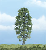 TR1618 Basswood - 4 1/8" Premium Trees (Click for larger picture)