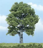 TR1620 Oak - 5" Premium Trees (Click for larger picture)