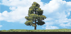 TR3507 Sun Kissed - 3"- 4" Coming Soon... (Click for larger picture)