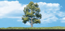 TR3531 Waters Edge - 3/4"- 1 1/4" Coming Soon... (Click for larger picture)