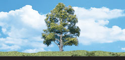TR3533 Waters Edge - 2"- 3" Coming Soon... (Click for larger picture)