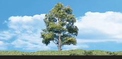 TR3536 Waters Edge - 5"- 6" Coming Soon... (Click for larger picture)