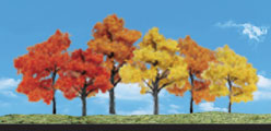 TR3541 Harvest Blaze - 3"- 5" Coming Soon... (Click for larger picture)