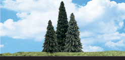 TR3573 Forever Green - 6"- 7" Coming Soon... (Click for larger picture)