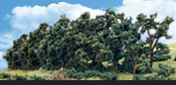 TR3582 Hedgerow - 1"- 4" Coming Soon... (Click for larger picture)