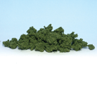Clump Foliage
