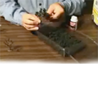 Make a Tree Video