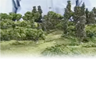 RG Tree Kit