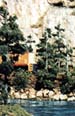 TK20 4 1/2" Columnar Pine (4/kit) Small Tree Kits (Click for larger picture)