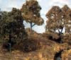 TK25 5 1/2"-6 1/2" Hardwood Trees (3/kit) Large Tree Kits (Click for larger picture)